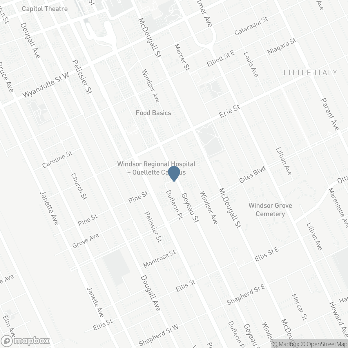 V/L GOYEAU STREET, Windsor, Ontario N9A 1E1